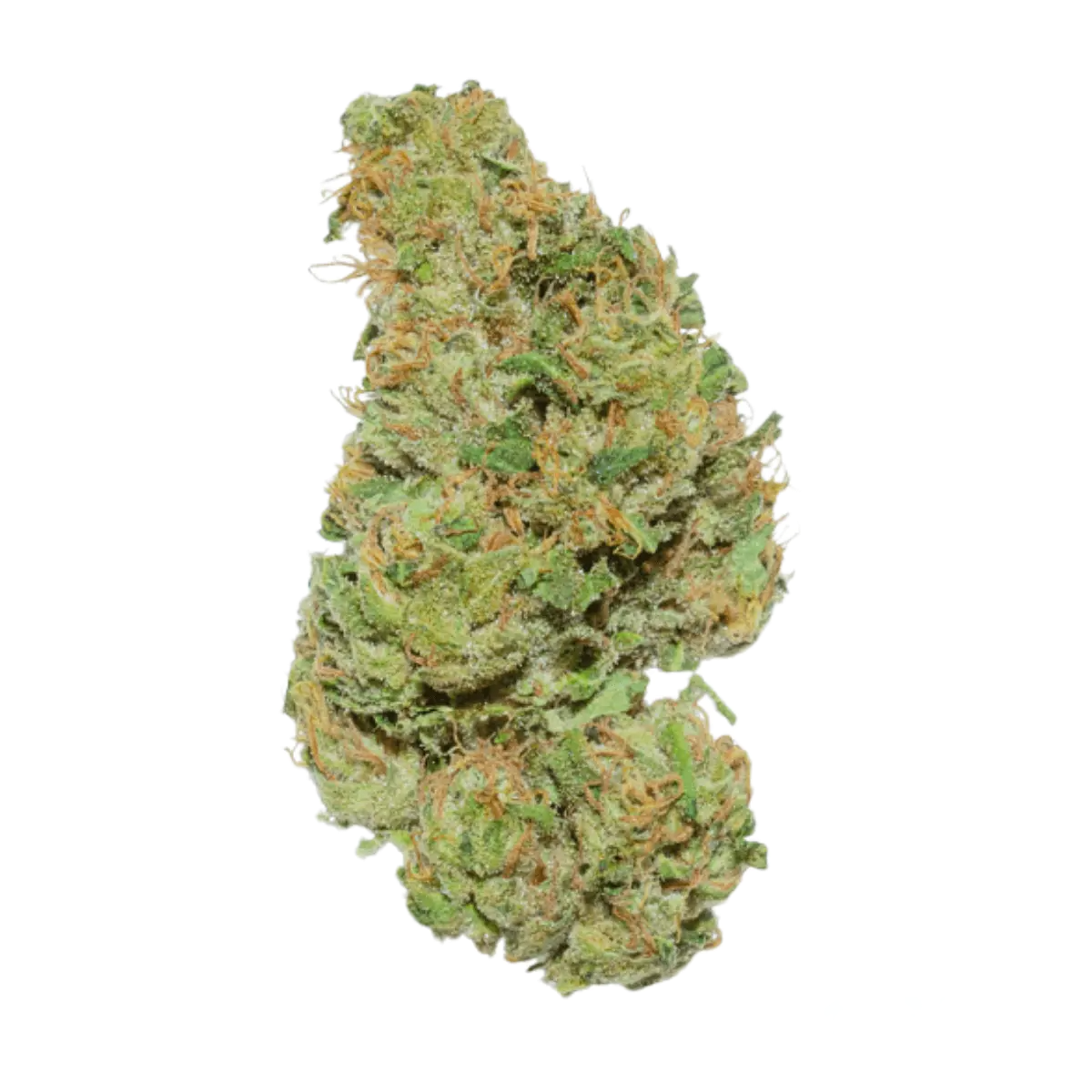 Weeco HK 20/1 Hindu Kush